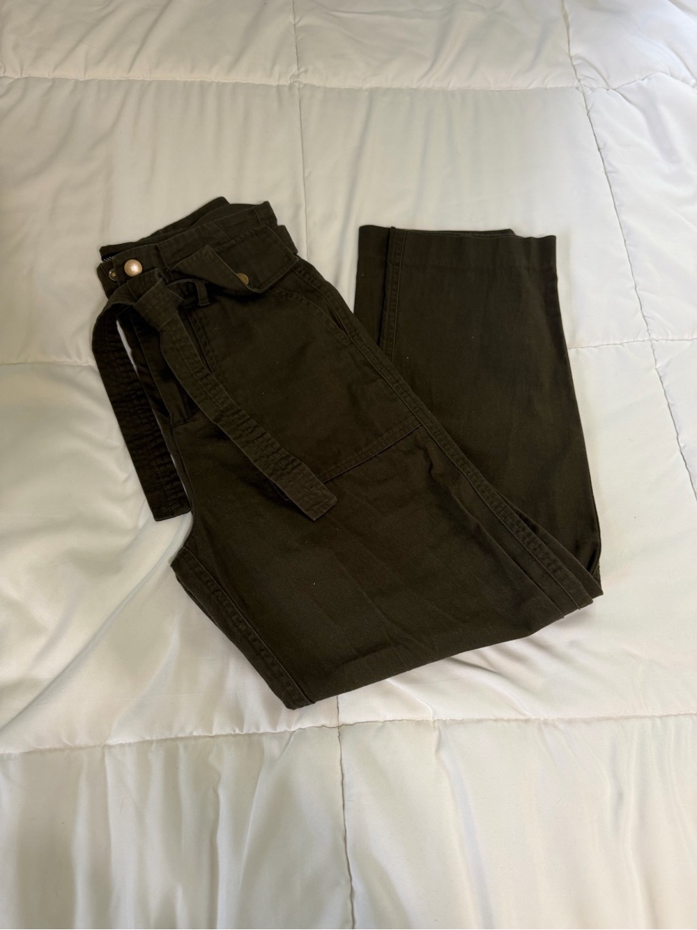 Banana Republic Dark Olive Cargo Pants with Belt